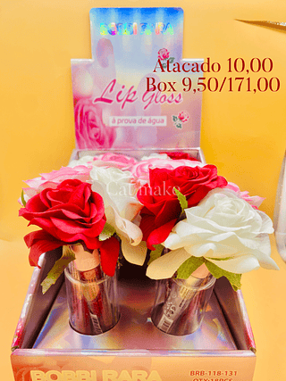 Bobbi rara lip golss